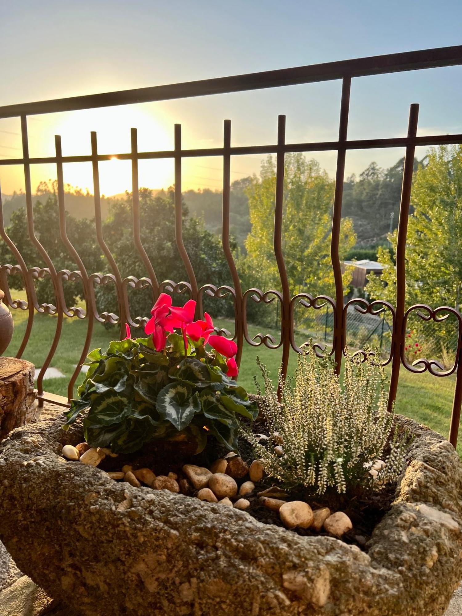 Quinta De Villasete Alpendurada Exteriér fotografie