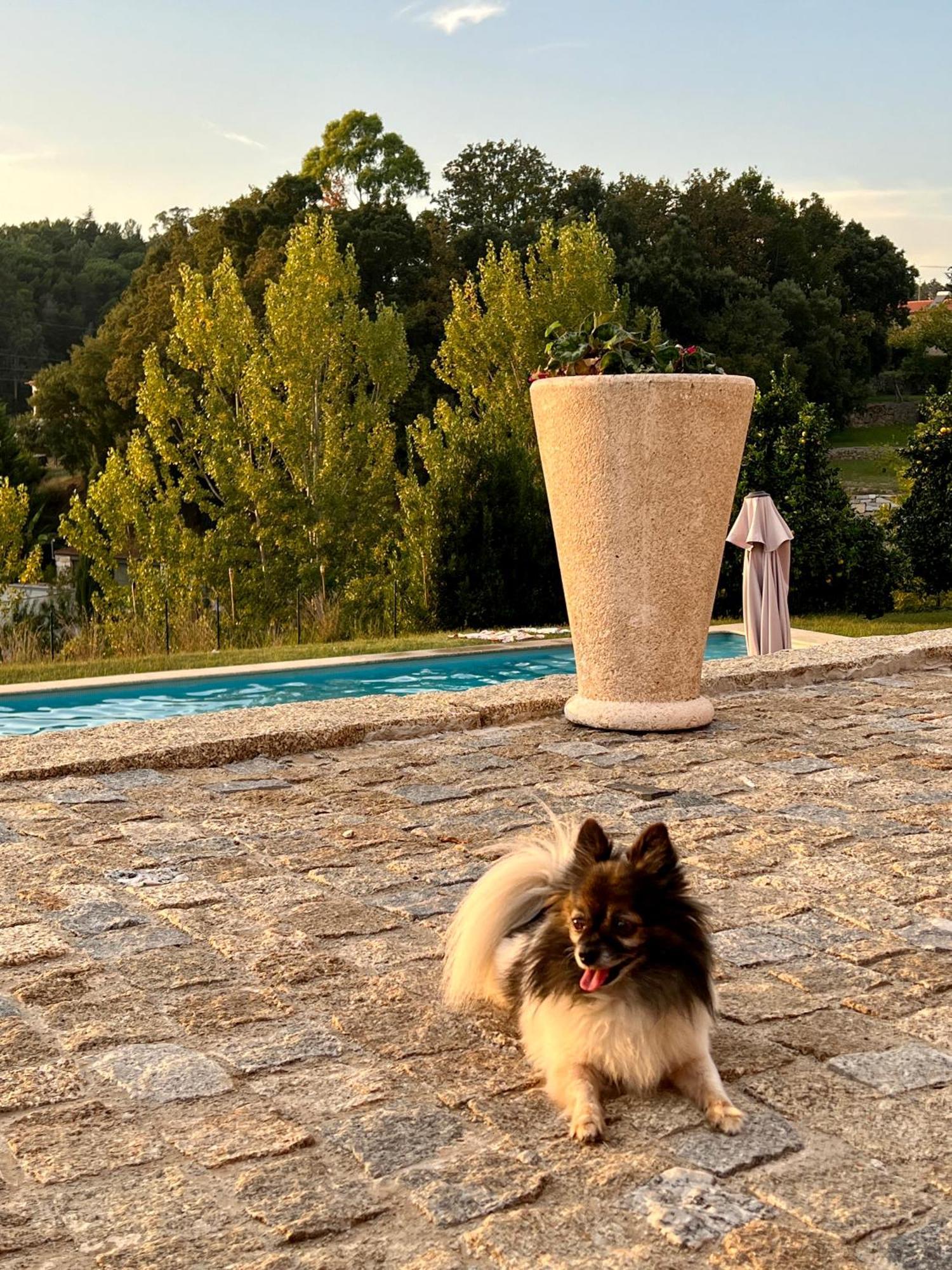 Quinta De Villasete Alpendurada Exteriér fotografie