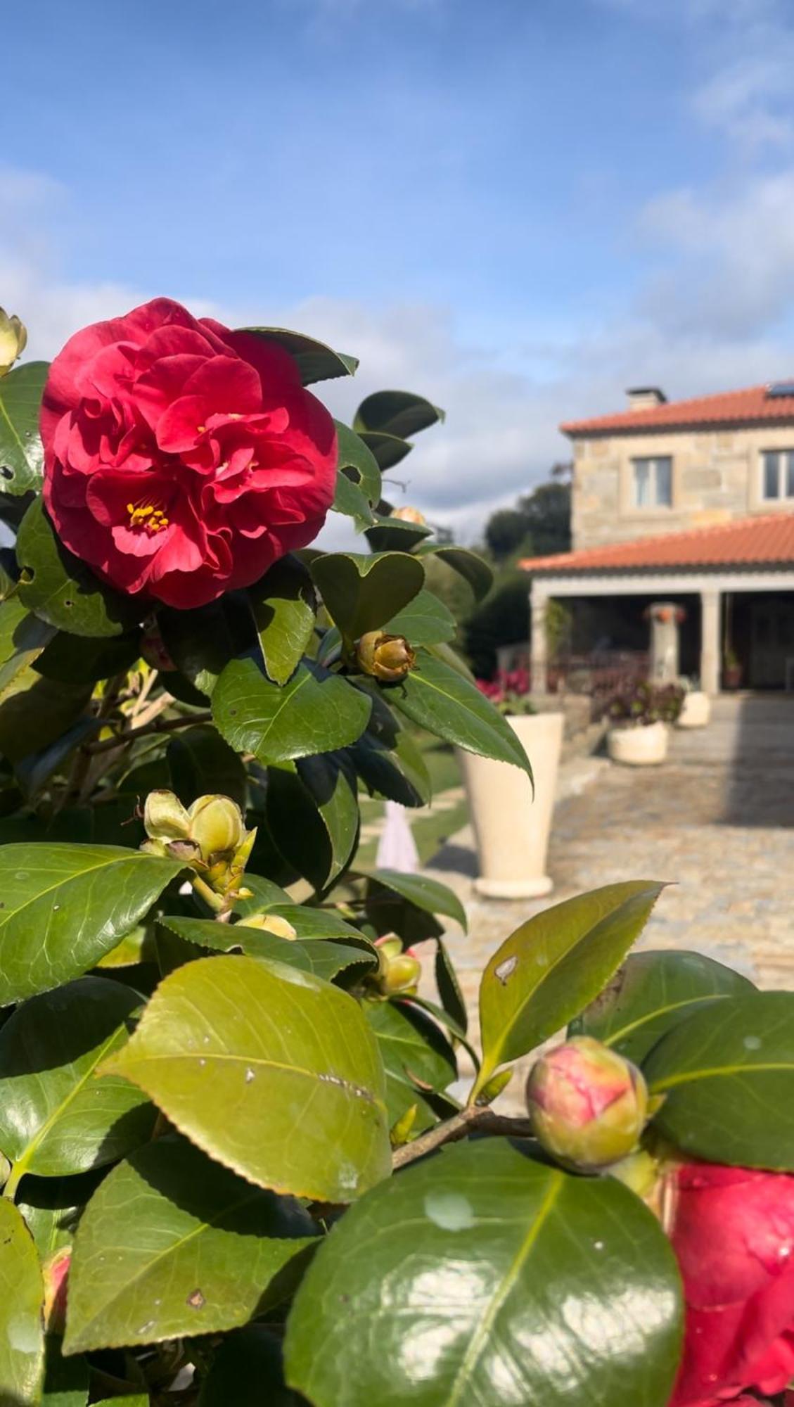 Quinta De Villasete Alpendurada Exteriér fotografie