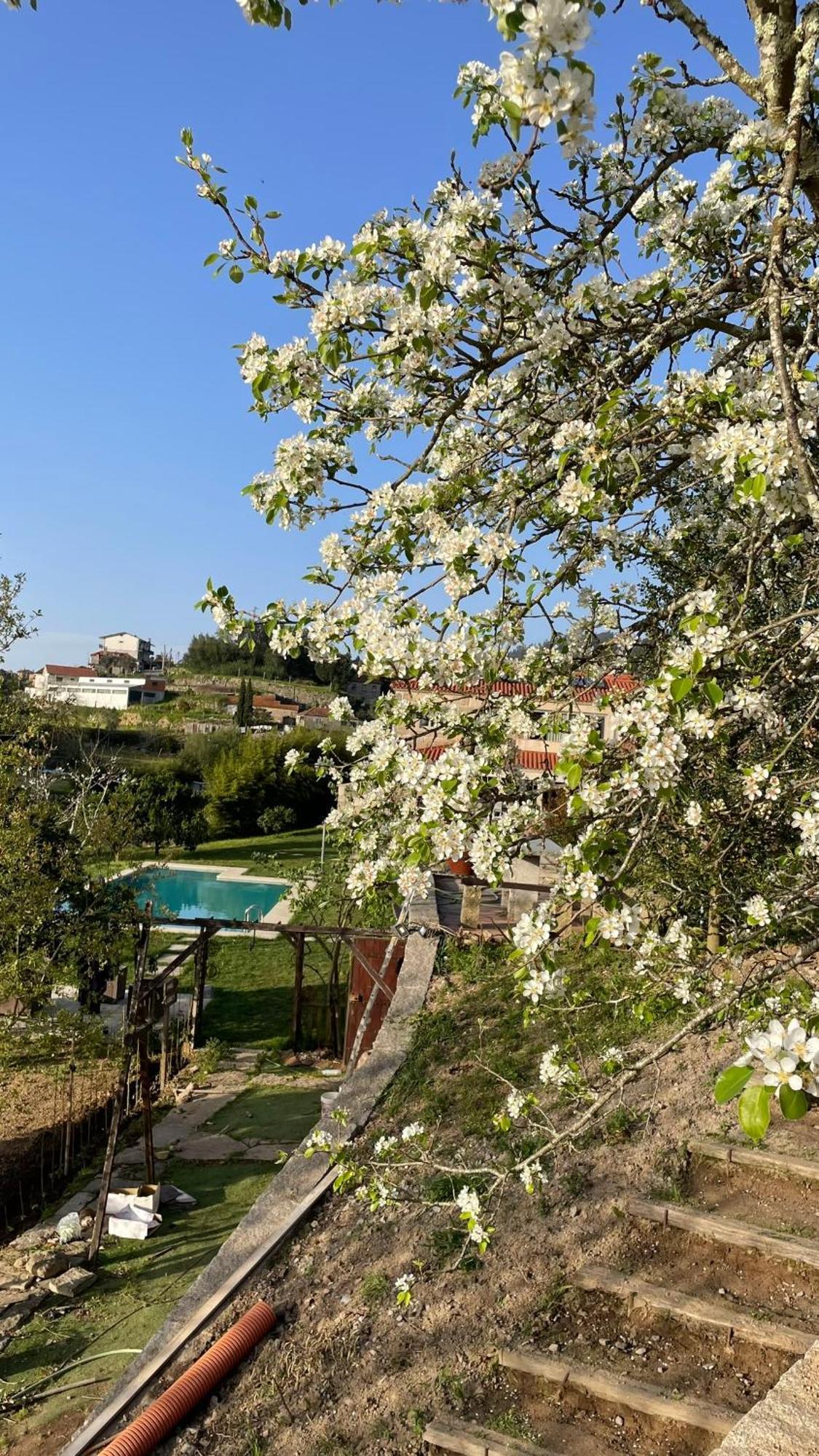 Quinta De Villasete Alpendurada Exteriér fotografie
