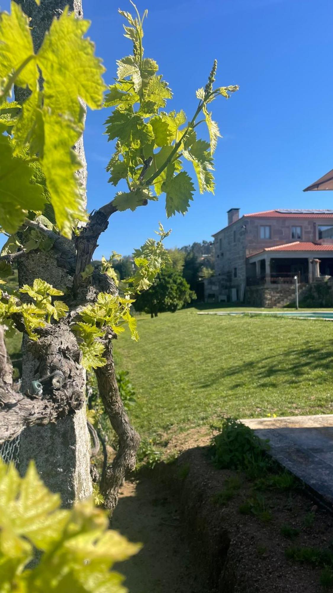 Quinta De Villasete Alpendurada Exteriér fotografie
