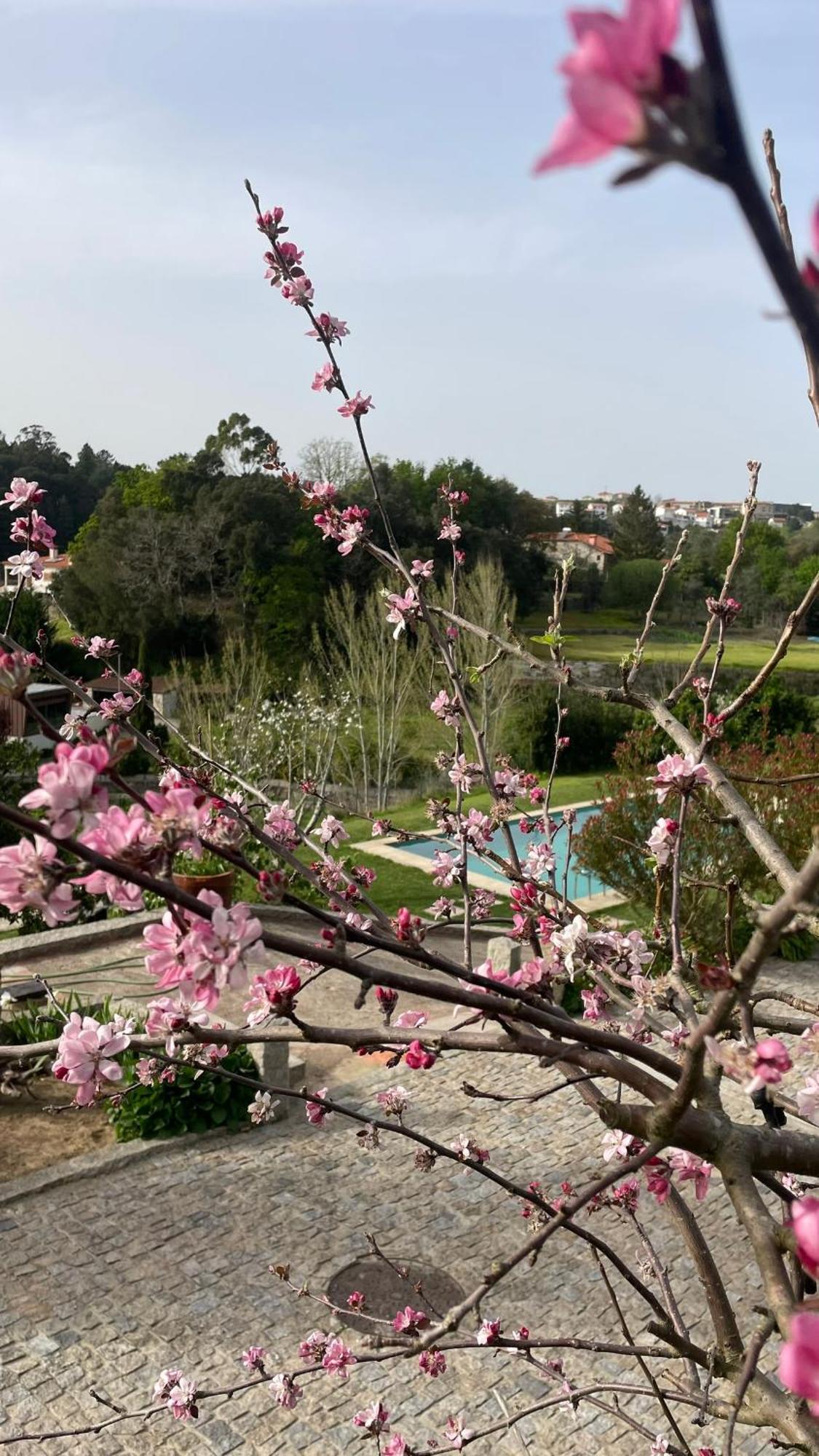 Quinta De Villasete Alpendurada Exteriér fotografie