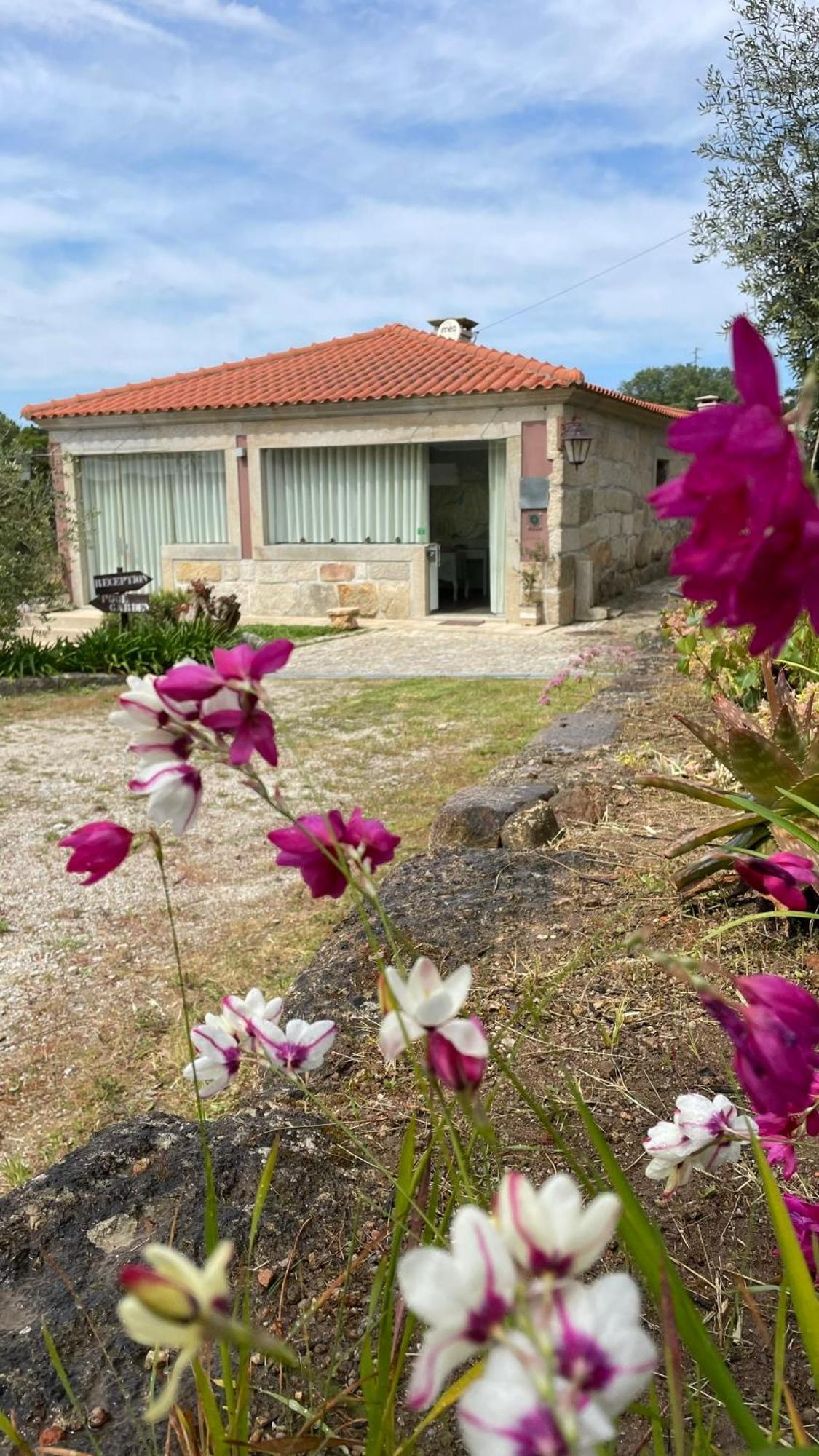 Quinta De Villasete Alpendurada Exteriér fotografie
