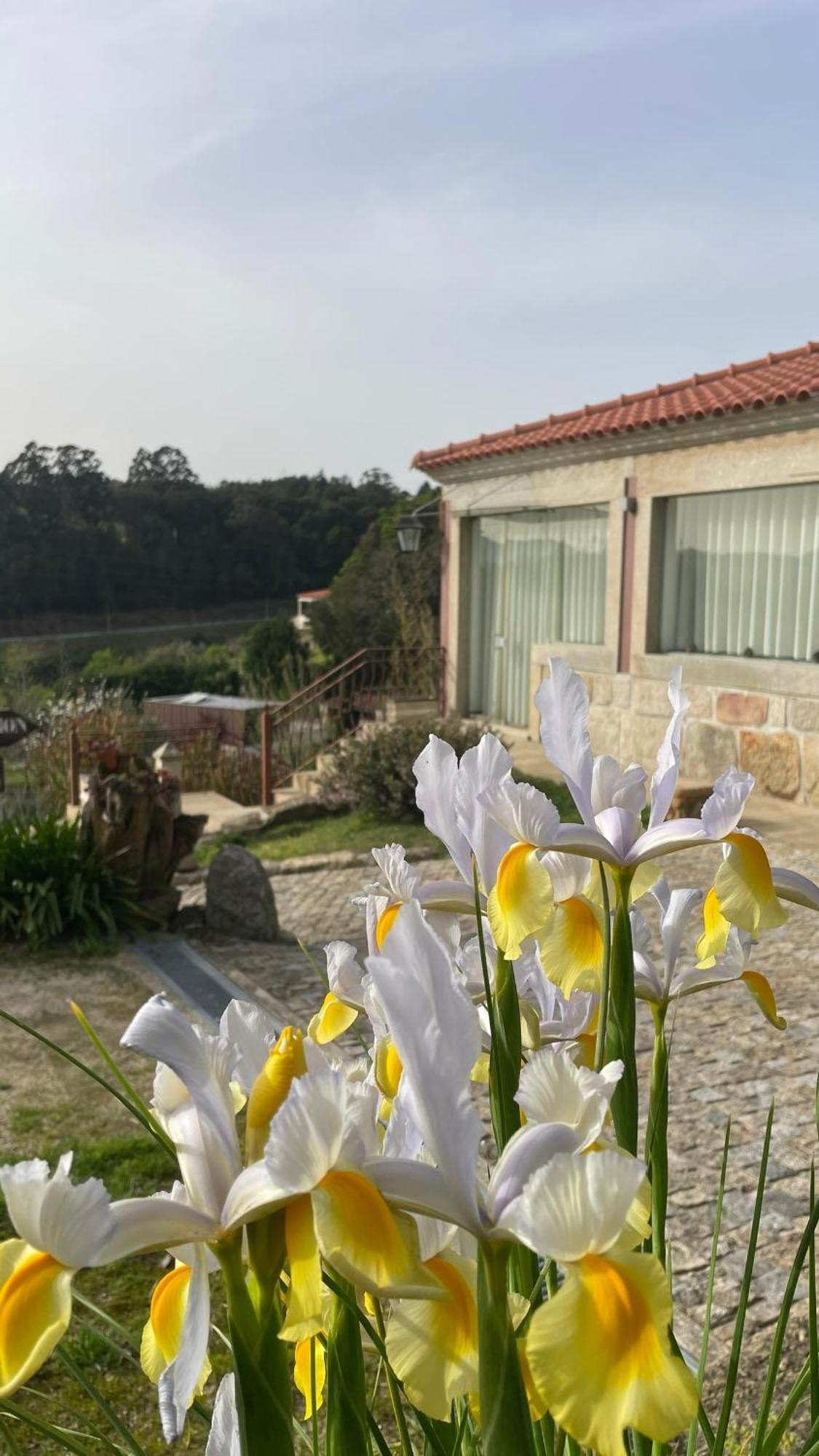 Quinta De Villasete Alpendurada Exteriér fotografie