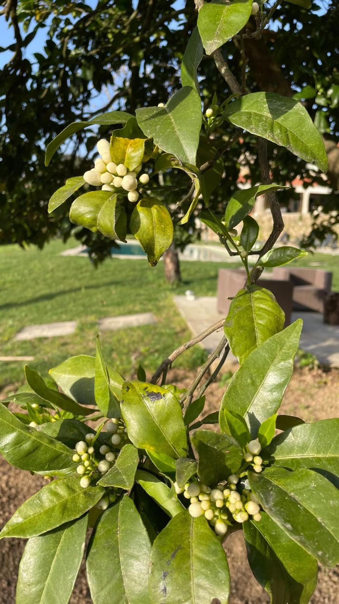 Quinta De Villasete Alpendurada Exteriér fotografie